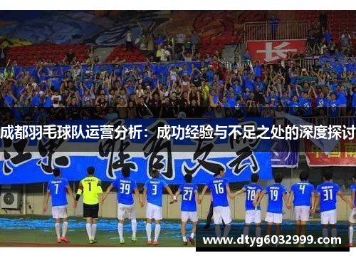成都羽毛球队运营分析：成功经验与不足之处的深度探讨